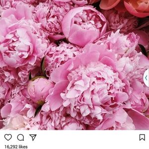 Meet your Posher, Deborah